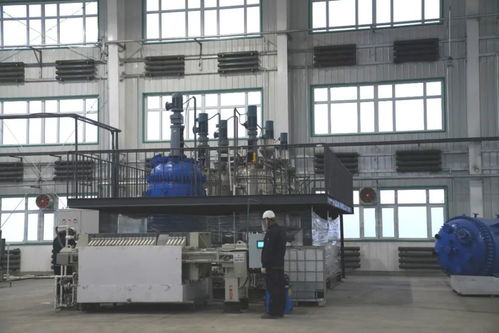 中国建材集团高层考察我区石墨产业，共话建筑材料加工新篇章